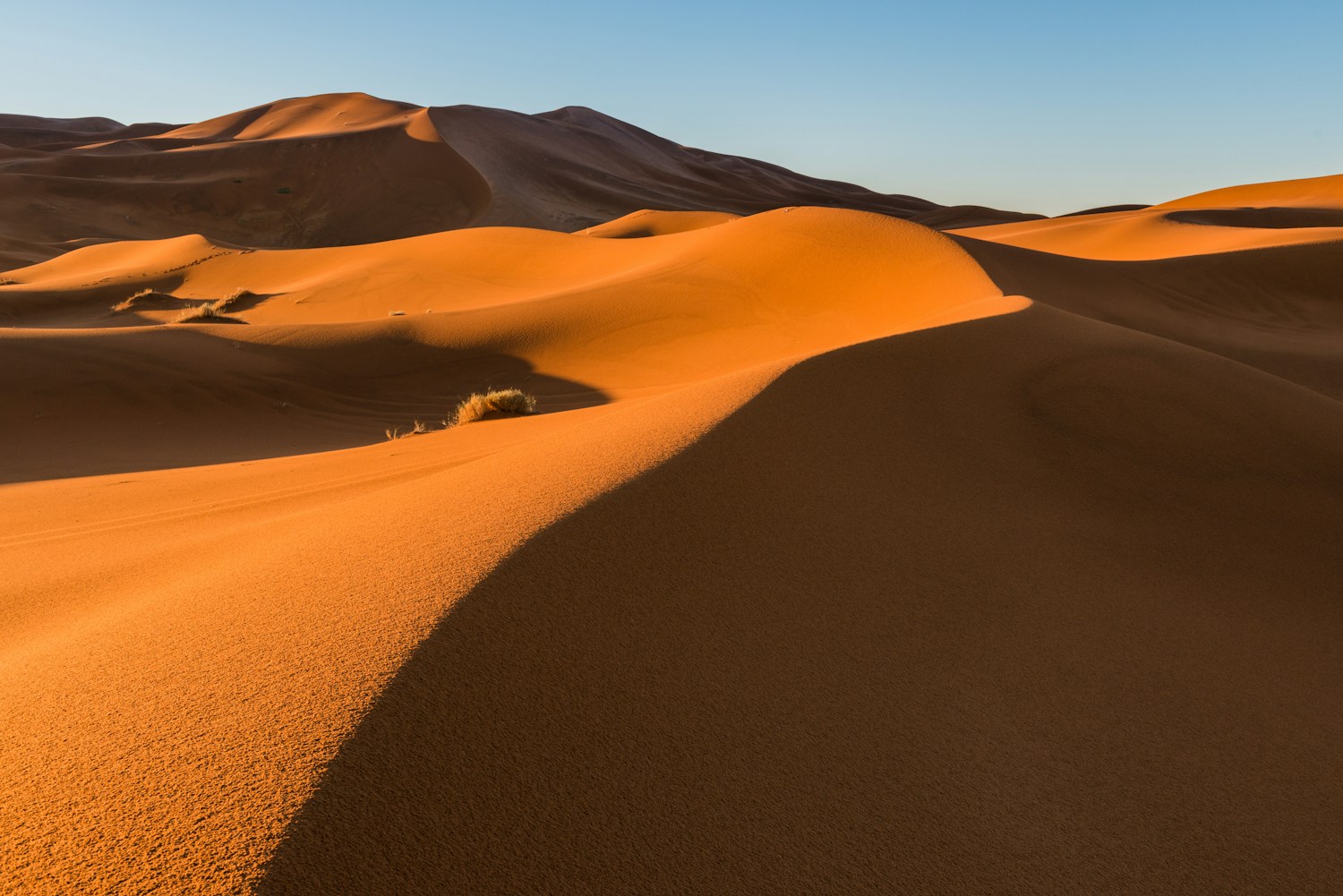 Golden desert dunes